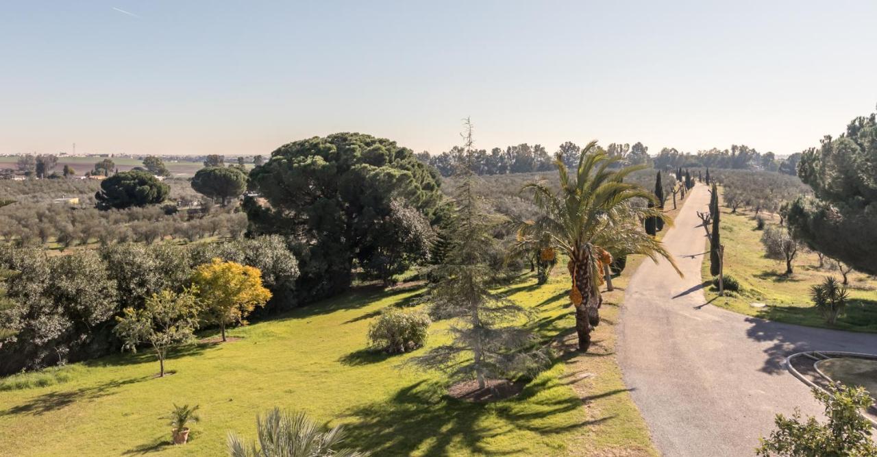 Hacienda Las Tres Ninas Puebla del Río Exterior foto